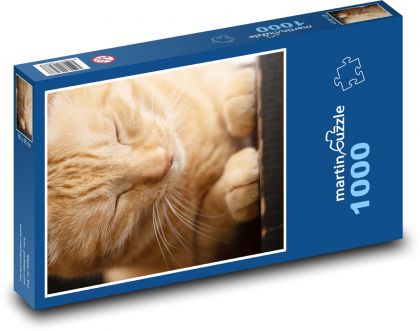 Cat - pet, sleepy - Puzzle 1000 pieces, size 60x46 cm 