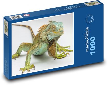 Iguana - gad, zwierzę - Puzzle 1000 elementów, rozmiar 60x46 cm
