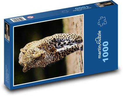 Leopard - Wildkatze, Tier - Puzzle - 1000 Teile