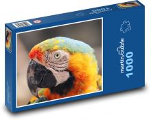 Papuga - ptak, zwierzę Puzzle 1000 elementów - 60x46 cm