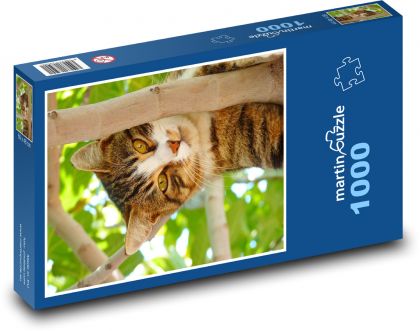 Katze - Tier, Haustier - Puzzle - 1000 Teile