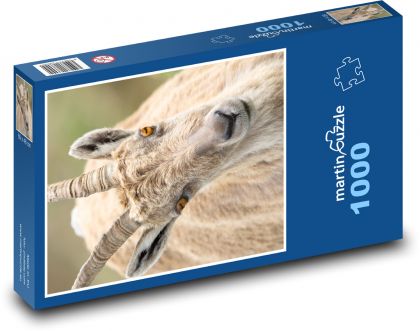 Goat - head, horns - Puzzle 1000 pieces, size 60x46 cm 