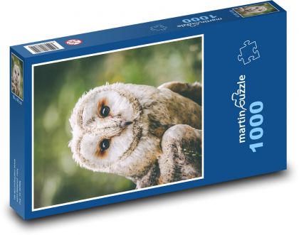 Sova - vták, zviera - Puzzle 1000 dielikov, rozmer 60x46 cm