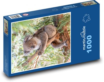 Koala - vačnatec, býložravec - Puzzle 1000 dílků, rozměr 60x46 cm