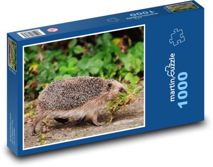 Hedgehog - animal, forest - Puzzle 1000 pieces, size 60x46 cm 
