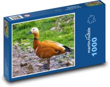 Rdzawe gęsi - kaczka, ptak Puzzle 1000 elementów - 60x46 cm