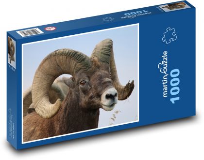 Púštna hruborohá ovca - zviera, rohy - Puzzle 1000 dielikov, rozmer 60x46 cm
