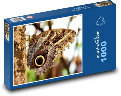 Butterfly - insects, wings - Puzzle 1000 pieces, size 60x46 cm 