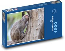 Opice - zvíře, spát Puzzle 1000 dílků - 60 x 46 cm