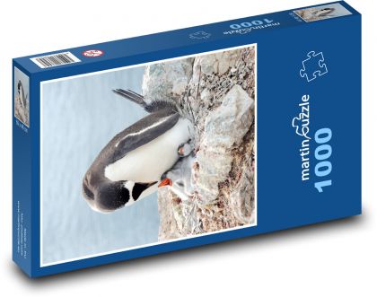 Tučňák - pták, zvíře - Puzzle 1000 dílků, rozměr 60x46 cm