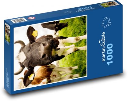 Kráva - zvíře, dobytek - Puzzle 1000 dílků, rozměr 60x46 cm