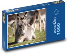Osel - zvíře, farma Puzzle 1000 dílků - 60 x 46 cm