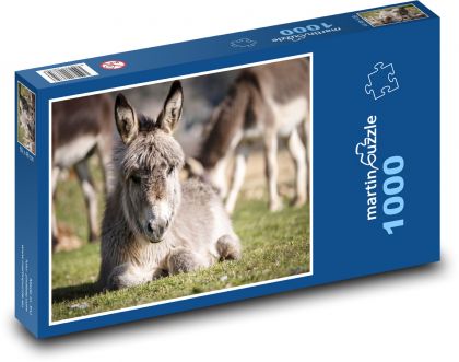 Esel - Tier, Bauernhof - Puzzle - 1000 Teile