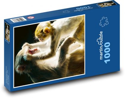 Opica - primát, mláďa - Puzzle 1000 dielikov, rozmer 60x46 cm