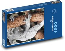 Koala - vačnatec, zvíře Puzzle 1000 - 60x46 cm