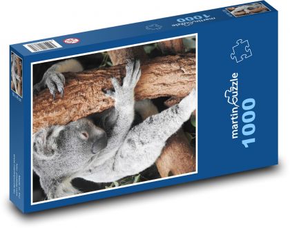 Koala - marsupial, animal - Puzzle 1000 pieces, size 60x46 cm 