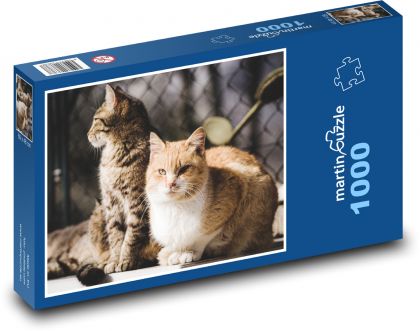 Katze - Tier, Haustier - Puzzle - 1000 Teile