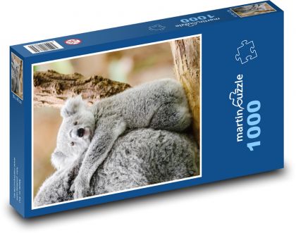 Koala - zwierzę, młode - Puzzle 1000 elementów, rozmiar 60x46 cm