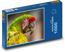 Papagáj - vták, zviera Puzzle 1000 dielikov - 60 x 46 cm 