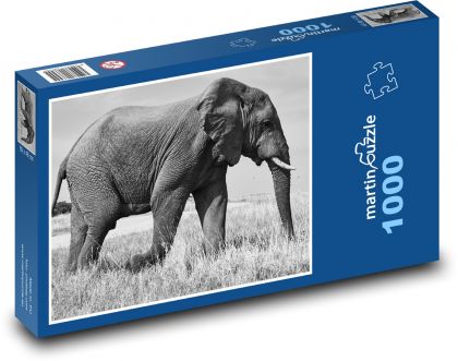 Slon - zvíře, Safari - Puzzle 1000 dílků, rozměr 60x46 cm