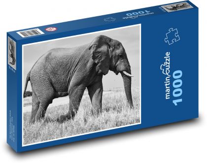 Slon - zvíře, Safari - puzzle 1000 dílků