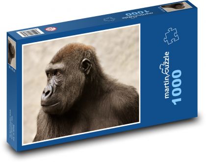 Opice - primát, zvíře - Puzzle 1000 dílků, rozměr 60x46 cm
