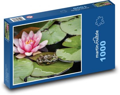 Frosch - Seerose, Wasser - Puzzle - 1000 Teile
