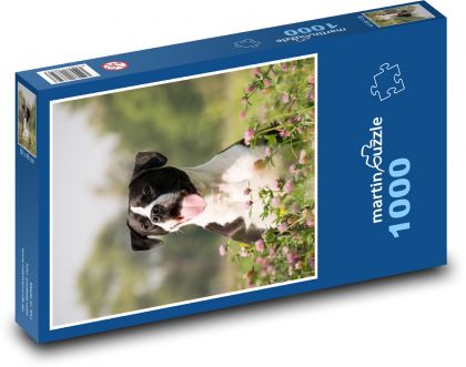 Pes - domáce zviera, zviera - Puzzle 1000 dielikov, rozmer 60x46 cm