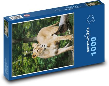 Löwin - Shešlma, Löwe - Puzzle - 1000 Teile