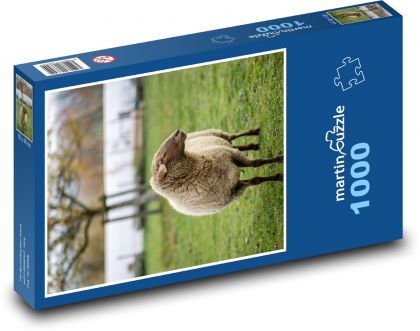 Ovce - zvíře, farma - Puzzle 1000 dílků, rozměr 60x46 cm