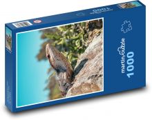 Jašterica - zviera, plaz Puzzle 1000 dielikov - 60 x 46 cm 
