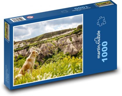 Pes - příroda, krajina - Puzzle 1000 dílků, rozměr 60x46 cm
