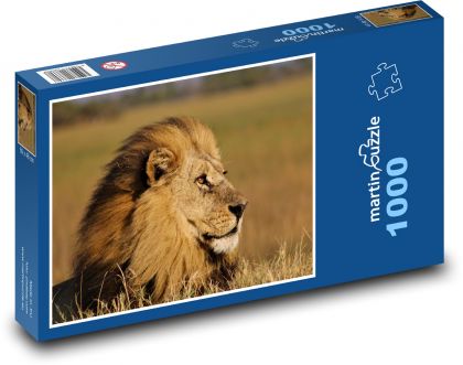 Lev - král džungle, savec - Puzzle 1000 dílků, rozměr 60x46 cm