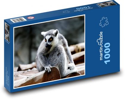 Lemur - zvíře, savec - Puzzle 1000 dílků, rozměr 60x46 cm