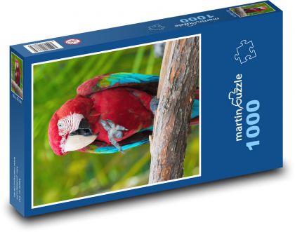 Vogel - Papagei, Zoo - Puzzle - 1000 Teile