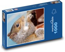 Veverka - hlodavec, divoké zvíře Puzzle 1000 dílků - 60 x 46 cm