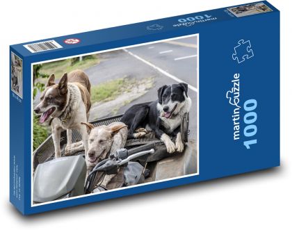 Psi - domácí mazlíčci, vozidlo - Puzzle 1000 dílků, rozměr 60x46 cm