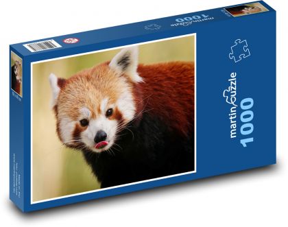 Panda červená - zviera, medveď - Puzzle 1000 dielikov, rozmer 60x46 cm
