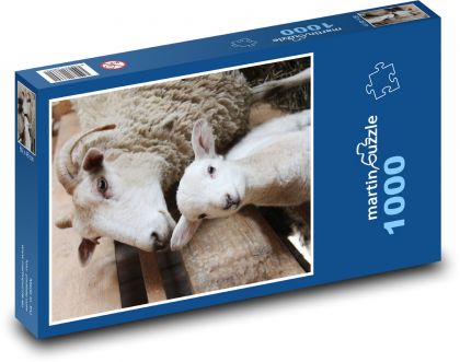 Ovce - jahňacie, zvieracie - Puzzle 1000 dielikov, rozmer 60x46 cm