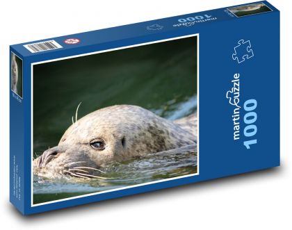 Morský lev - vodné živočíchy. zoologická záhrada - Puzzle 1000 dielikov, rozmer 60x46 cm