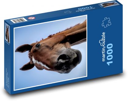 Kůň - hřebec, hříva - Puzzle 1000 dílků, rozměr 60x46 cm