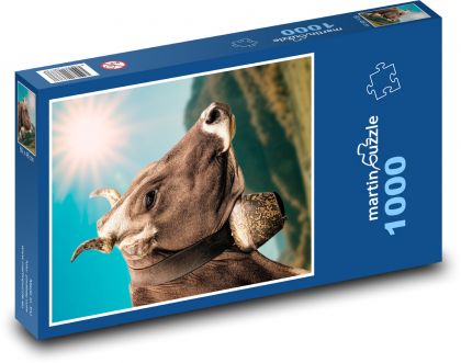 Cow - bell, sun - Puzzle 1000 pieces, size 60x46 cm 