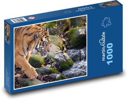 Tygr - zvíře, voda - puzzle 1000 dílků