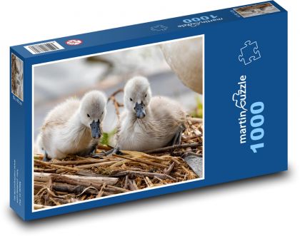 Labutě - mláďata, ptáci - puzzle 1000 dílků