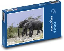 Sloni - zvířata, safari Puzzle 1000 dílků - 60 x 46 cm