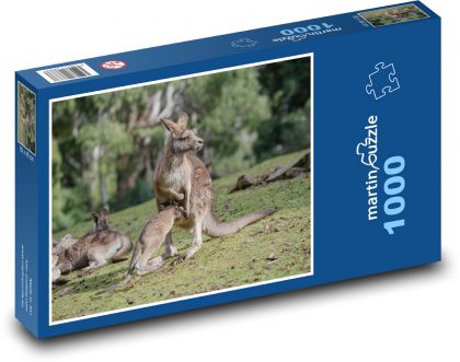 Kangur - torbacz, zwierzę - Puzzle 1000 elementów, rozmiar 60x46 cm