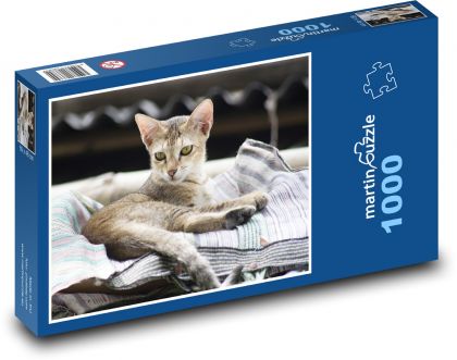 Kot - kotek, zwierzak domowy - Puzzle 1000 elementów, rozmiar 60x46 cm