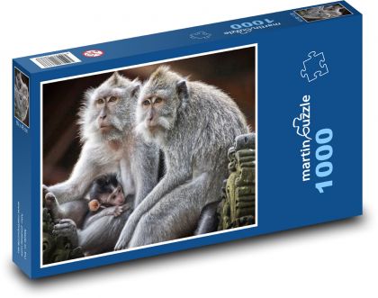 Opice - primát, savec - Puzzle 1000 dílků, rozměr 60x46 cm