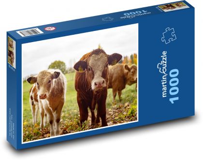 Krávy - farma, dobytek - puzzle 1000 dílků