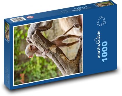 Opice - zoo, mládě - Puzzle 1000 dílků, rozměr 60x46 cm